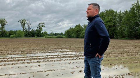 Regen schädigt die Maiskeimlinge von Landwirt Thomas Huschle