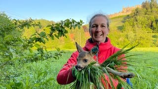 Frau hält Rehkitz hoch vor einem Feld