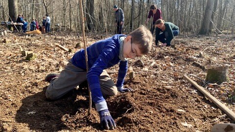 Kind sitzt auf Waldboden und pflanzt Baum ein