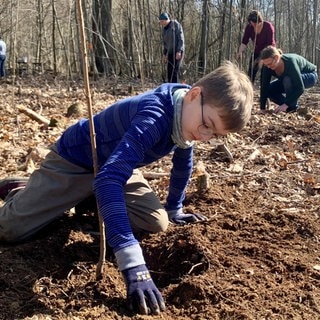 Kind sitzt auf Waldboden und pflanzt Baum ein