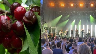 Geplatzte Kirschen und die Band Meute spielt ihr Konzert auf dem Freiburger Münsterplatz.