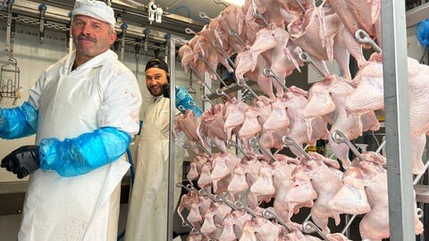 Weidehähnchen - regionales und artgerechtes Hühnerfleisch aus dem Südschwarzwald