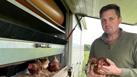 Weidehähnchen - regionales und artgerechtes Hühnerfleisch aus dem Südschwarzwald