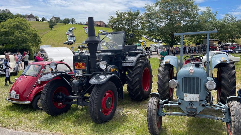 Sogar landwirtschaftliche Fahrzeuge, wie diese Traktoren, sind zum Oldtimertreff nach Freiamt gekommen.