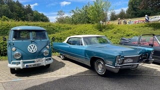 Taubenblaue Oldtimer reihen sich beim Oldtimertreff in Freiamt aneinander.