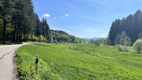 Die Straße führt durch ein grünes Tal.