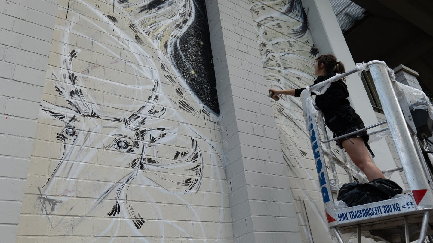 Graffiti-Sprayer erschaffen an sechs Spots in Freiburg neue Kunstwerke.