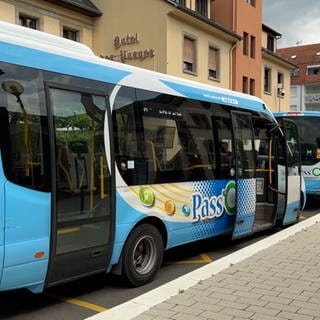 In diese Busse können die Elsässerinnen und Elsässer ab September ganz legal ohne Ticket einsteigen.