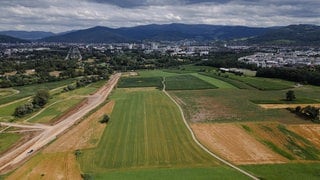 Die Baufläche des neuen Stadtteils Dietenbach mit Blick auf den Schwarzwald.