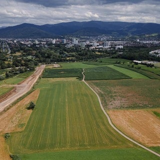 Die Baufläche des neuen Stadtteils Dietenbach mit Blick auf den Schwarzwald.