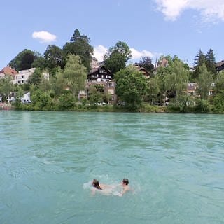 Im Rhein mit seinem hellblauen Wasser, schwimmen einige Menschen.