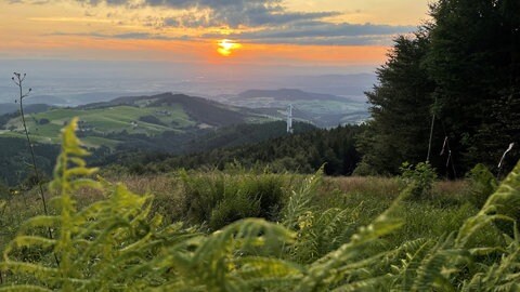 Blick ins Rheintal vom Schauinsland bei Sonnenuntergang.