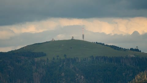 Blick auf den Feldberg-Gipfel.