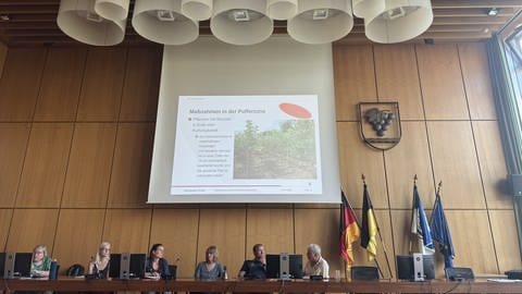Maßnahmen gelten nun auch auf deutscher Seite: Vertreter des Pflanzenschutzdienstes und des Landkreises Lörrach haben Interessierte darüber informiert. 