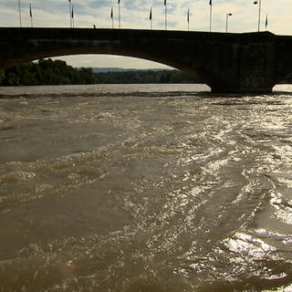 Noch schreckt das trübe Wasser viele Menschen ab. Und das ist auch gut so, denn die Strömung ist hoch und unberechenbar. Rheinschwimmen ist aktuell noch zu gefährlich.