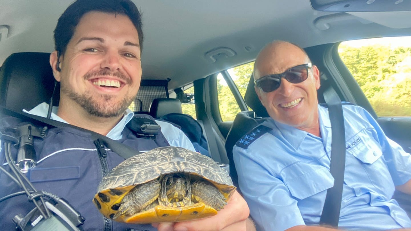 Stolz präsentieren zwei Polizisten die von der Autobahn gerettete Schildkröte.