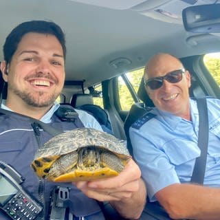 Stolz präsentieren zwei Polizisten die von der Autobahn gerettete Schildkröte. 