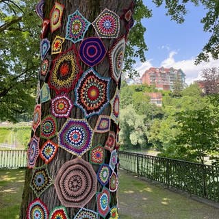 Bunte Bäume - ja, die gibt es in Laufenburg!