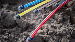 Glasfaserkabel liegen auf Sand - ist die invasive Ameise durch das Baumaterial nach Fischingen gekommen? (Symbolbild)