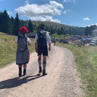 Laurentiusfest: Frau mit Bollenhut und Mann mit Lederhose wandern zur Todtnauer Hütte