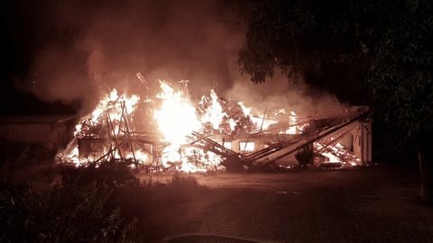 Die +Weidehühner vom Käppelehof in Höchenschwand