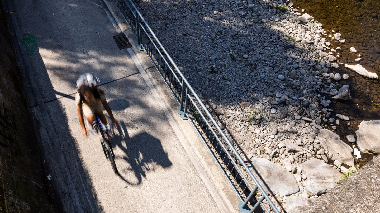 Eine Radfahrerin fährt auf einem Radweg neben der Dreisam.