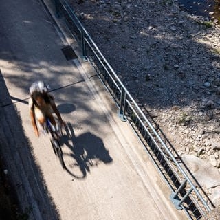 Eine Radfahrerin fährt auf einem Radweg neben der Dreisam.