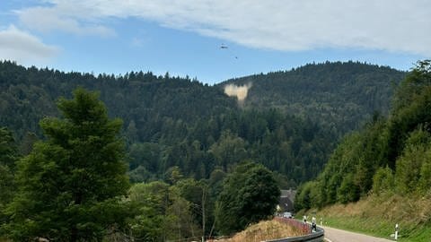 Der Hubschrauber wirft den Kalk über dem Wald am Belchen ab. Mit dem nächsten Regen wird der feine Staub in den Waldboden eingewaschen