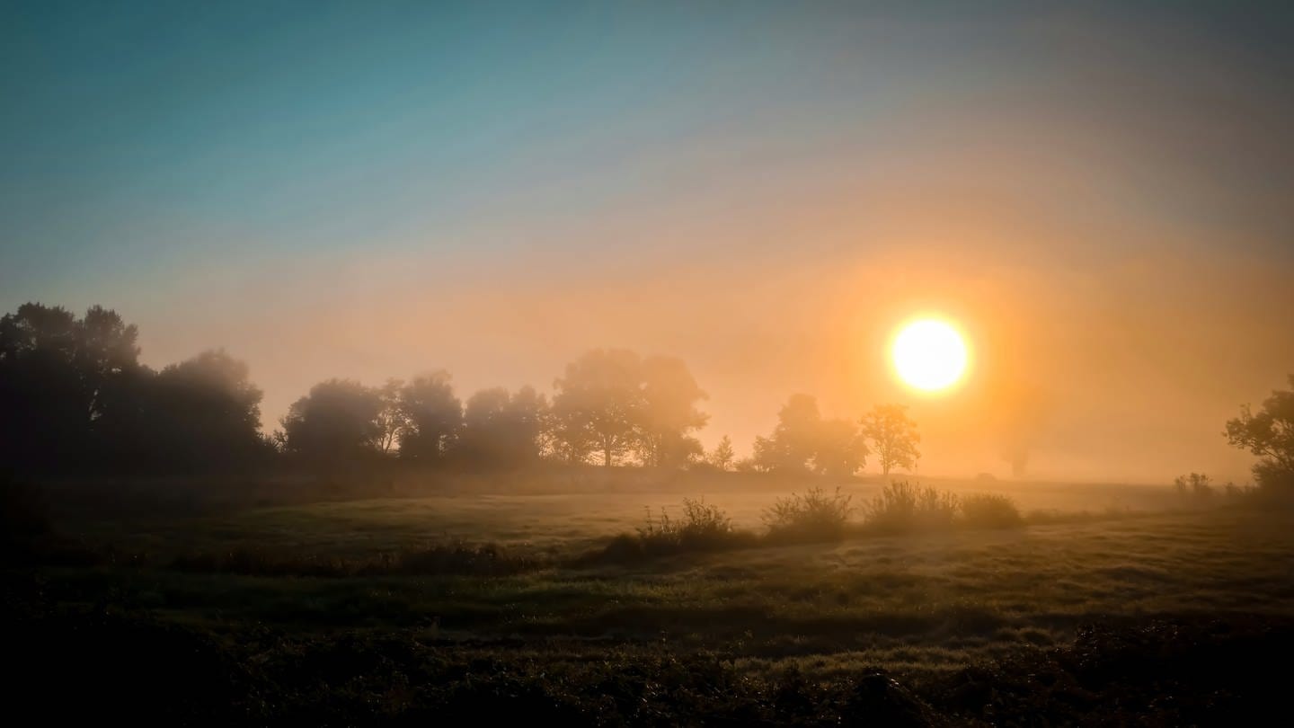 Zwischen Nebelschwaden leuchtet die Morgensonne.