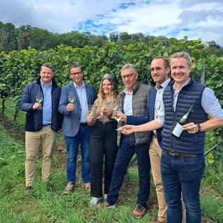 Baden-Württembergs Landwirtschaftsminister zu Gast bei der Herbstpressekonferenz des Badischen Weinbauverbands