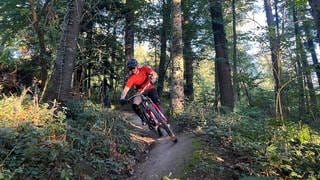 Moutainbiker auf einem Trail (Symbolbild)