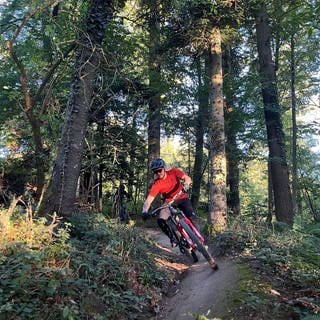 Moutainbiker auf einem Trail (Symbolbild)