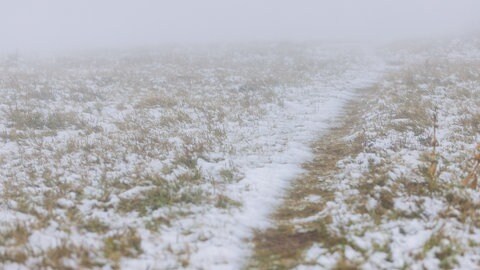 Verschneit ist ein Trampelpfad auf dem Gipfel vom Feldberg im dichten Nebel. 