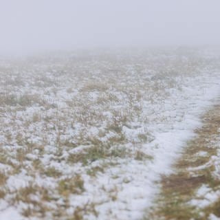 Verschneit ist ein Trampelpfad auf dem Gipfel vom Feldberg im dichten Nebel. 