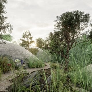 Im neuen nördlichen Teil des Zoos Basel wird es keine Freiluft-Gehege, sondern Kuppelbauten geben. 