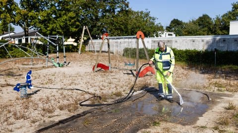 Ein Mitarbeiter der Stadt Kehl hat Mitte September heißes Wasser in die Eingänge eines riesigen Ameisenbaus gespritzt. 