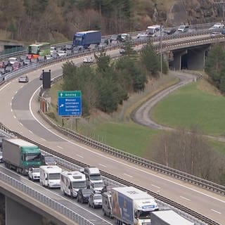 Staus vor dem Gotthard nehmen seit Jahren zu. Zwei Nationalräte wollen mit einem Gesetzesvorschlag dagegen vorgehen: Ausländer sollen mehr zahlen für die Autobahnvignette. 