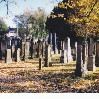 Der jüdische Friedhof in Müllheim. Im November 2000 fotografiert.