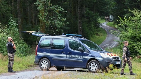 Symbolbild Suche nach Vermisster 15-Jähriger im Wald