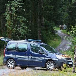 Symbolbild Suche nach Vermisster 15-Jähriger im Wald