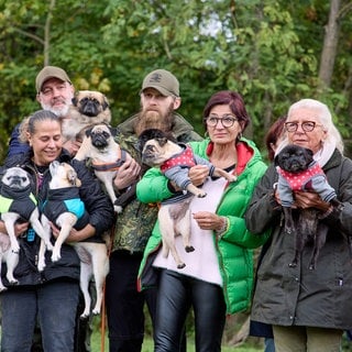 ein buntes Treiben - die Hundebesitzer tragen ihre Möpse gerne auf dem Arm 