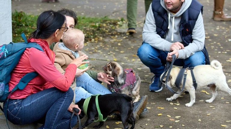 Beim Treffen mit den Hunden im Dreiländergarten kommen de Menschen ins Gespräch