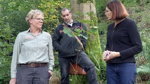 Baubürgermeisterin Christine Buchheit (rechts) fragt  Forstamtsleiterin Nicole Schmalfuß (links) und ihren Stellvertreter Berno Menzinger was das Besondere am Freiburger Stadtwald ist.