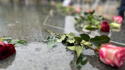 Rosen liegen im Gedenkbrunnen auf dem Platz der Alten Synagoge