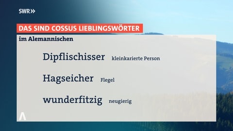 Entertainer Lukas Staier alias Cossu ist mit dem Dialektpreis des Landes Baden-Württemberg ausgezeichnet worden. Das sind seine Lieblingswörter im Alemannischen.