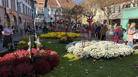 Bunte Beete in der Lahrer City.