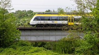 Ein Zug der SWEG. Die Gewerkschaft ver.di hat zu Warnstreiks im regionalen Nahverkehr aufgerufen - mit Auswirkungen vor allem im Raum Offenburg.