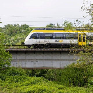 Ein Zug der SWEG. Die Gewerkschaft ver.di hat zu Warnstreiks im regionalen Nahverkehr aufgerufen - mit Auswirkungen vor allem im Raum Offenburg.