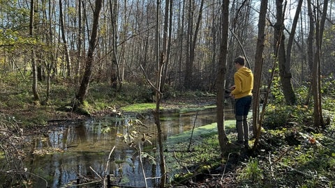 Am Steinbuckweiher in Buchheim in der March bei Freiburg trifft sich die Anglerjugend 