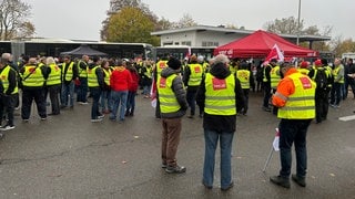 SWEG-Beschäftigte aus ganz Baden-Württemberg versammelten sich am Donnerstag für eine Kundgebung in Lahr.